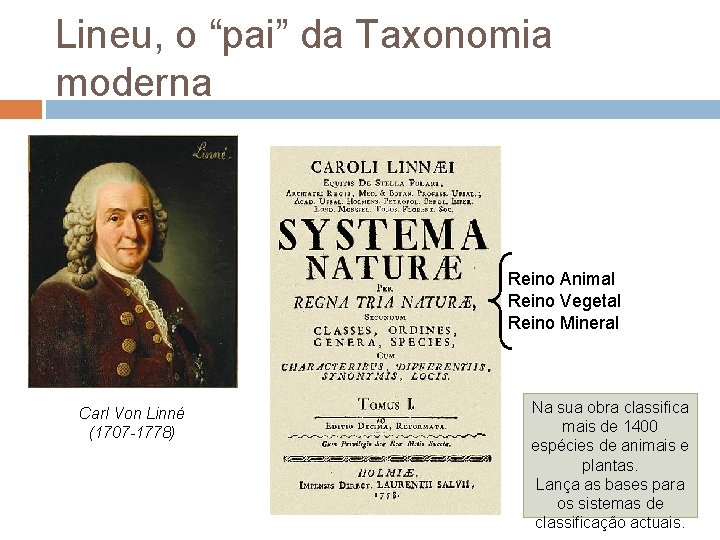 Lineu, o “pai” da Taxonomia moderna Reino Animal Reino Vegetal Reino Mineral Carl Von