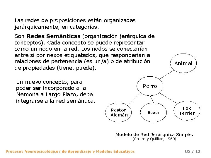 Las redes de proposiciones están organizadas jerárquicamente, en categorías. Son Redes Semánticas (organización jerárquica