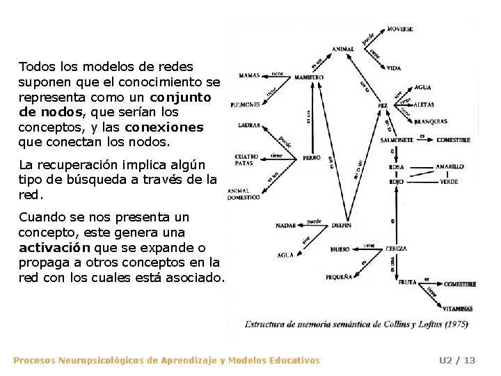 Todos los modelos de redes suponen que el conocimiento se representa como un conjunto