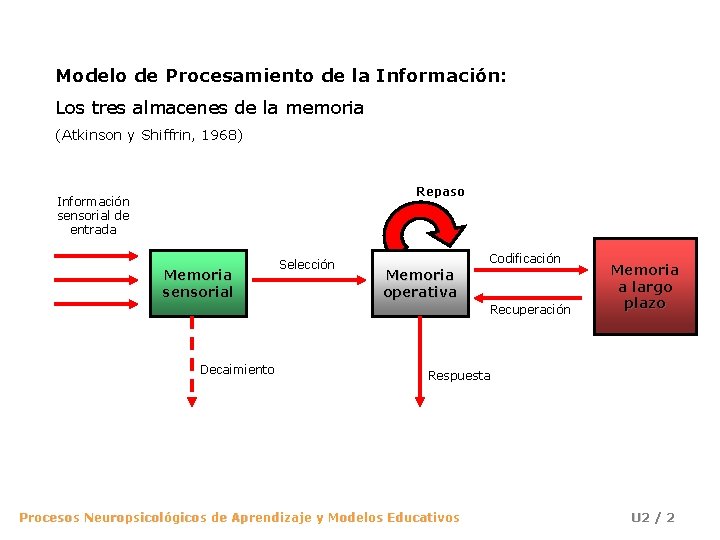 Modelo de Procesamiento de la Información: Los tres almacenes de la memoria (Atkinson y