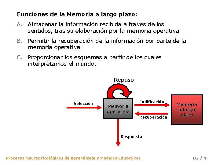 Funciones de la Memoria a largo plazo: plazo A. Almacenar la información recibida a