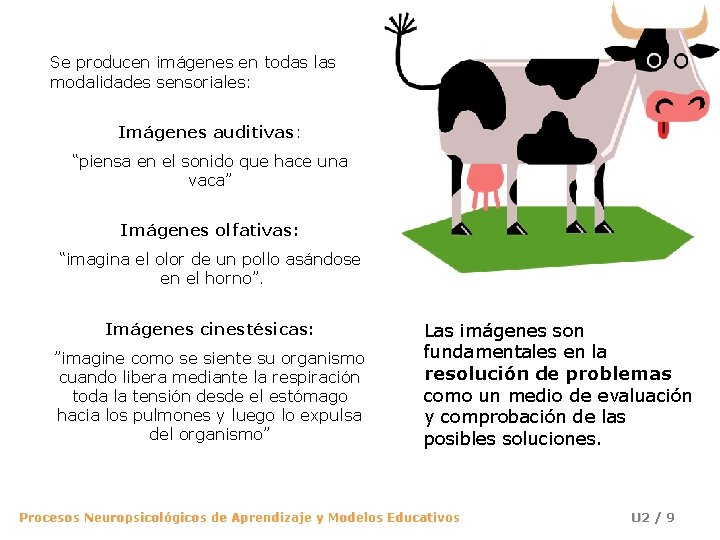 Se producen imágenes en todas las modalidades sensoriales: Imágenes auditivas: “piensa en el sonido