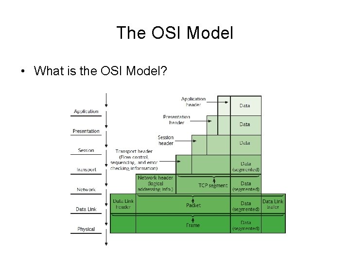 The OSI Model • What is the OSI Model? 