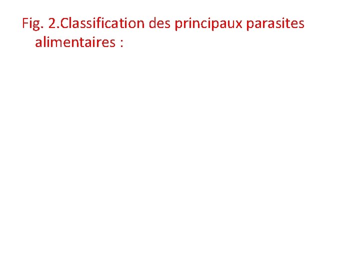 Fig. 2. Classification des principaux parasites alimentaires : Fig. 2. Classification des principaux parasites alimentaires :