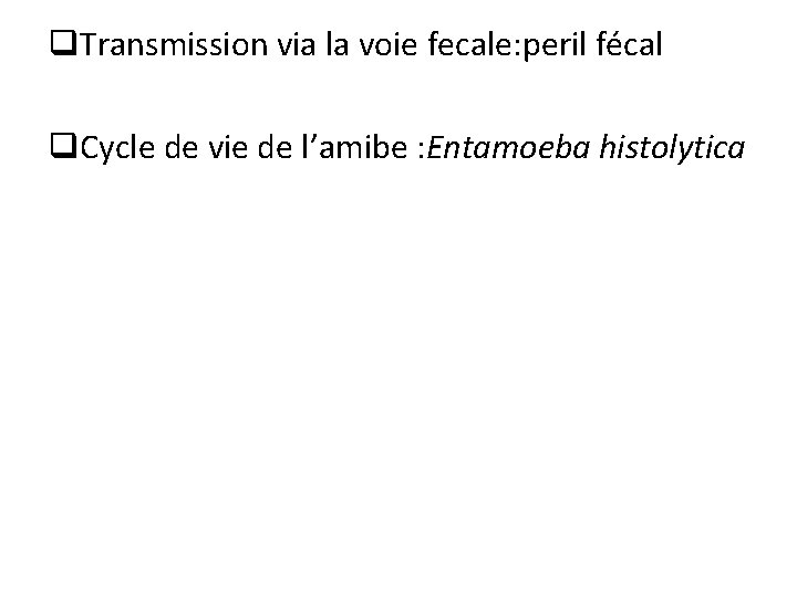 q. Transmission via la voie fecale: peril fécal q. Cycle de vie de l’amibe q. Transmission via la voie fecale: peril fécal q. Cycle de vie de l’amibe
