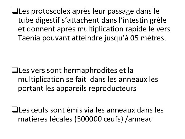 q. Les protoscolex après leur passage dans le tube digestif s’attachent dans l’intestin grêle q. Les protoscolex après leur passage dans le tube digestif s’attachent dans l’intestin grêle
