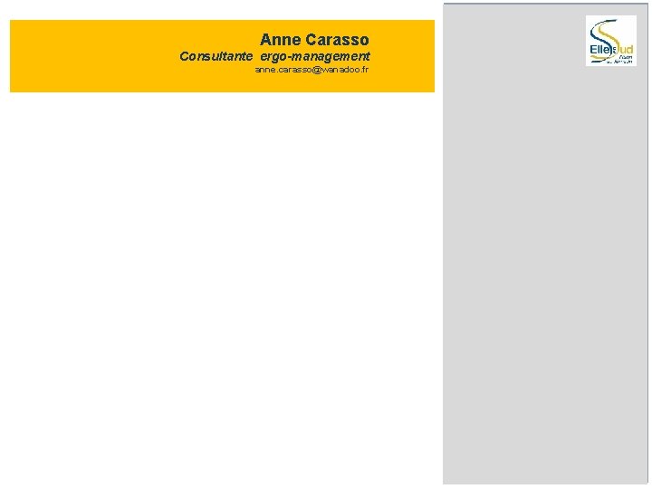 Anne Carasso Consultante ergo-management anne. carasso@wanadoo. fr 