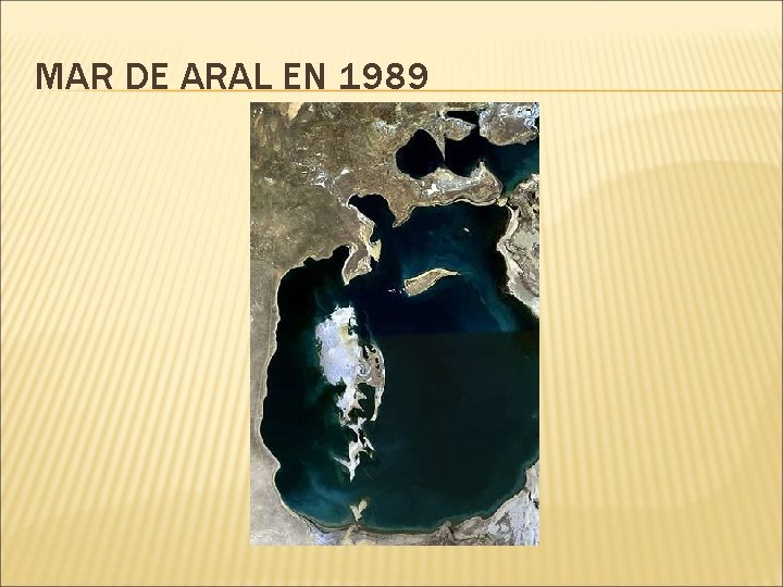 MAR DE ARAL EN 1989 