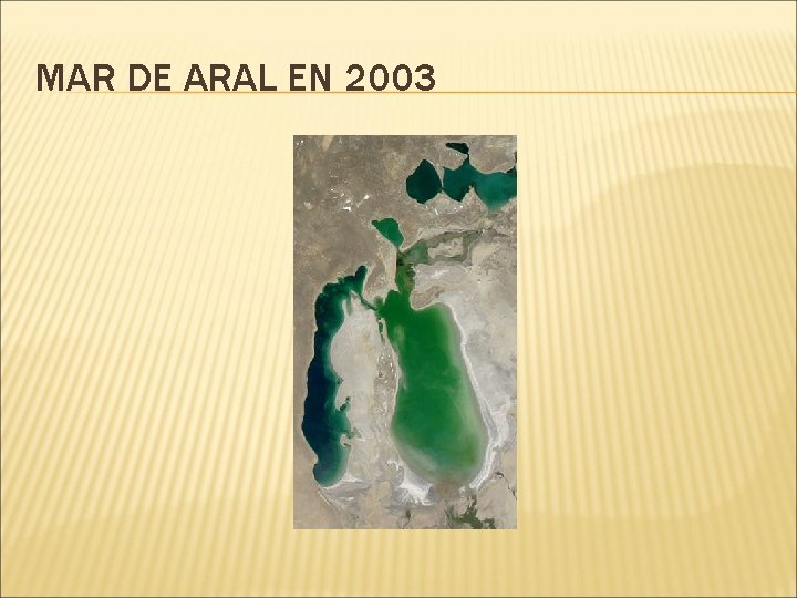 MAR DE ARAL EN 2003 