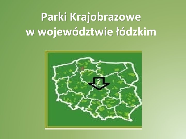 Parki Krajobrazowe w województwie łódzkim 
