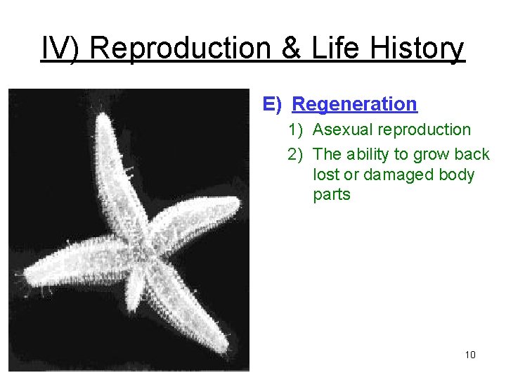 IV) Reproduction & Life History E) Regeneration 1) Asexual reproduction 2) The ability to IV) Reproduction & Life History E) Regeneration 1) Asexual reproduction 2) The ability to