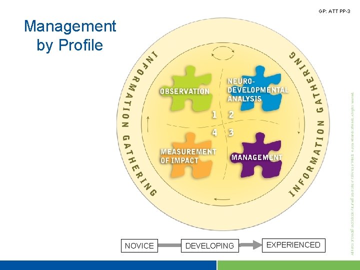 GP: ATT PP-3 Management by Profile NOVICE DEVELOPING EXPERIENCED 