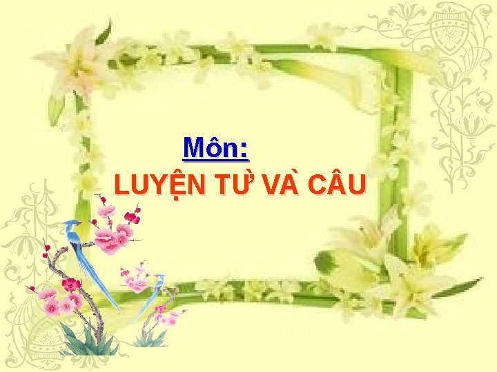 Môn: LUYÊ N TƯ VA C U 