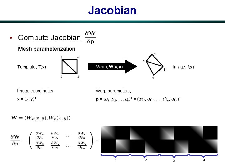 Jacobian • Compute Jacobian Mesh parameterization 4 1 Warp, W(x; p) Template, T(x) 2