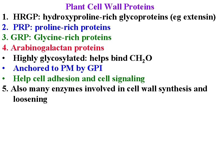 Plant Cell Wall Proteins 1. HRGP: hydroxyproline-rich glycoproteins (eg extensin) 2. PRP: proline-rich proteins