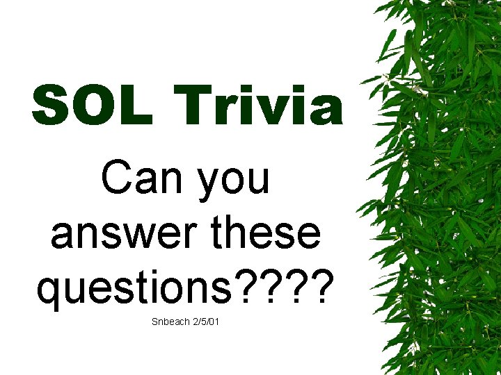 SOL Trivia Can you answer these questions? ? Snbeach 2/5/01 