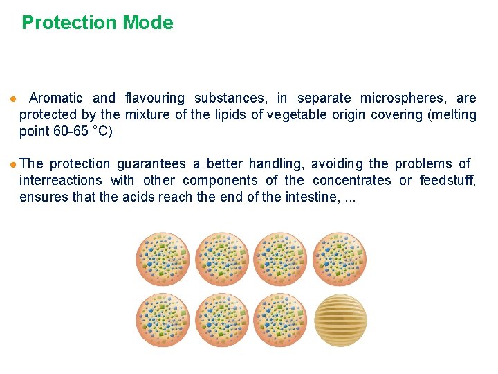 Protection Mode l l Aromatic and flavouring substances, in separate microspheres, are protected by