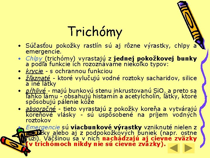 Trichómy • Súčasťou pokožky rastlín sú aj rôzne výrastky, chlpy a emergencie. • Chlpy