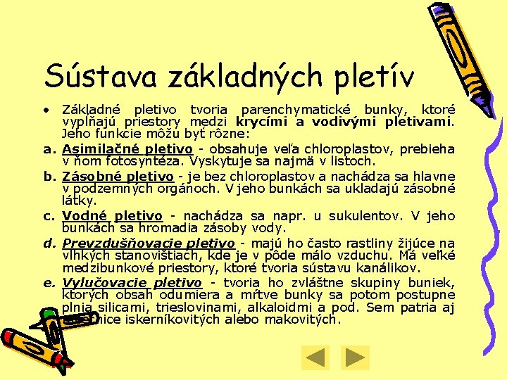 Sústava základných pletív • Základné pletivo tvoria parenchymatické bunky, ktoré vypĺňajú priestory medzi krycími