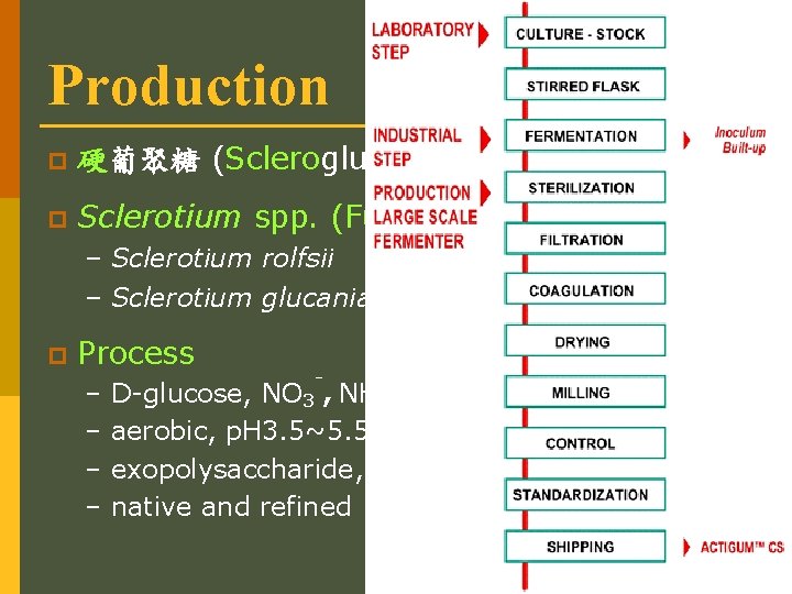 Production p 硬葡聚糖 (Scleroglucan) p Sclerotium spp. (Fungi) – Sclerotium rolfsii – Sclerotium glucanianm