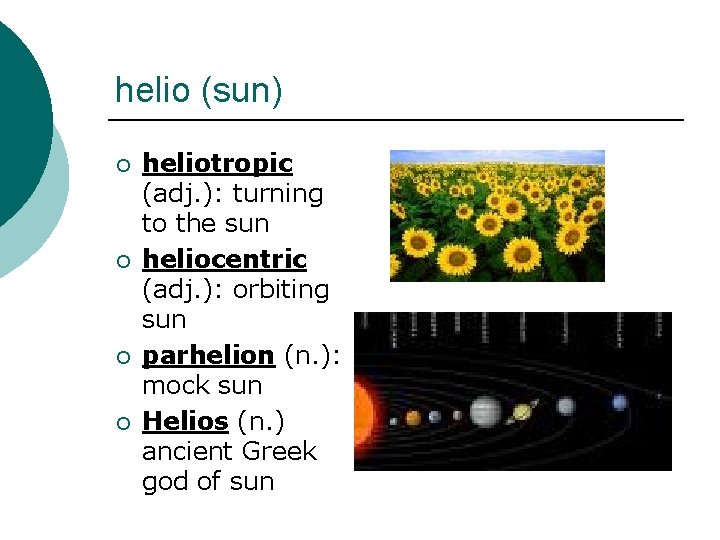helio (sun) ¡ ¡ heliotropic (adj. ): turning to the sun heliocentric (adj. ):