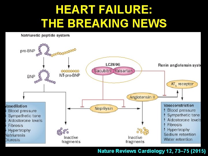 HEART FAILURE: THE BREAKING NEWS Nature Reviews Cardiology 12, 73– 75 (2015) 