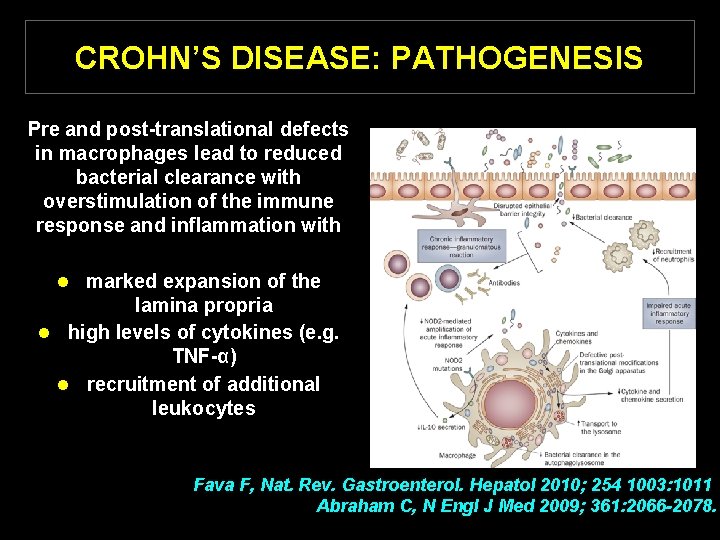 CROHN’S DISEASE: PATHOGENESIS Pre and post-translational defects in macrophages lead to reduced bacterial clearance