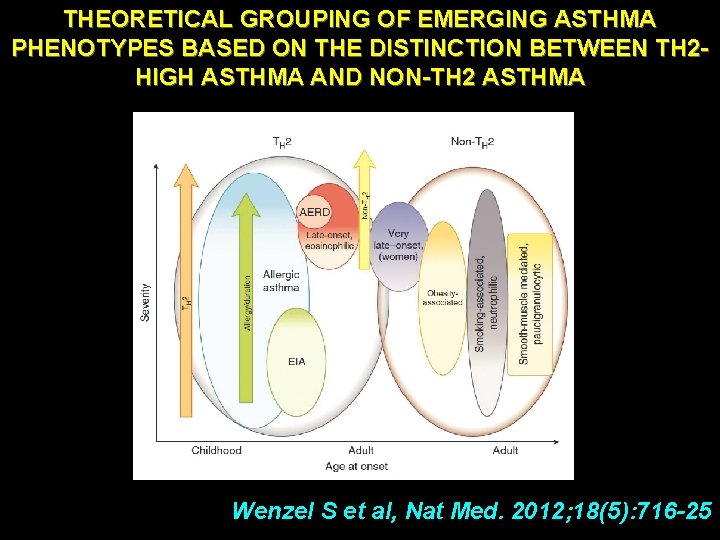 THEORETICAL GROUPING OF EMERGING ASTHMA PHENOTYPES BASED ON THE DISTINCTION BETWEEN TH 2 HIGH