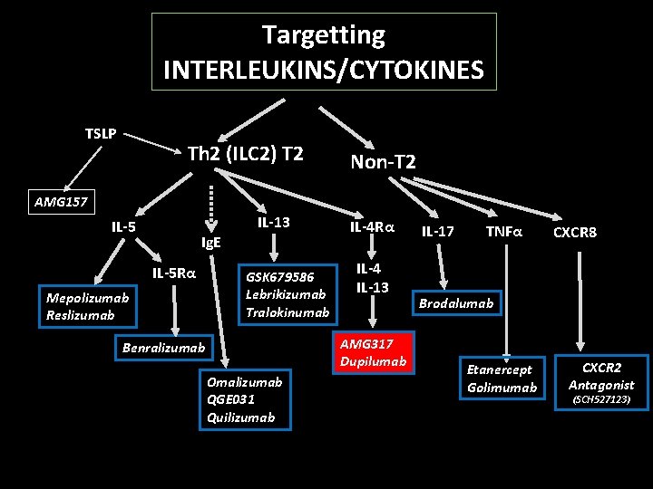 Targetting INTERLEUKINS/CYTOKINES TSLP Th 2 (ILC 2) T 2 Non-T 2 AMG 157 IL-13