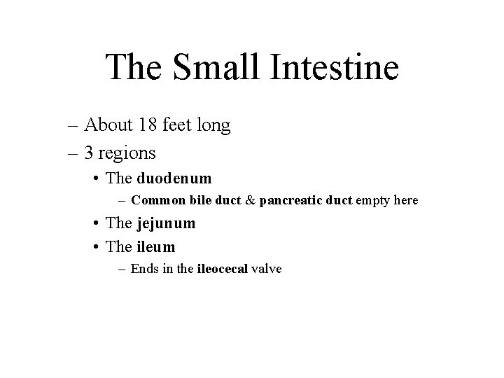 The Small Intestine – About 18 feet long – 3 regions • The duodenum