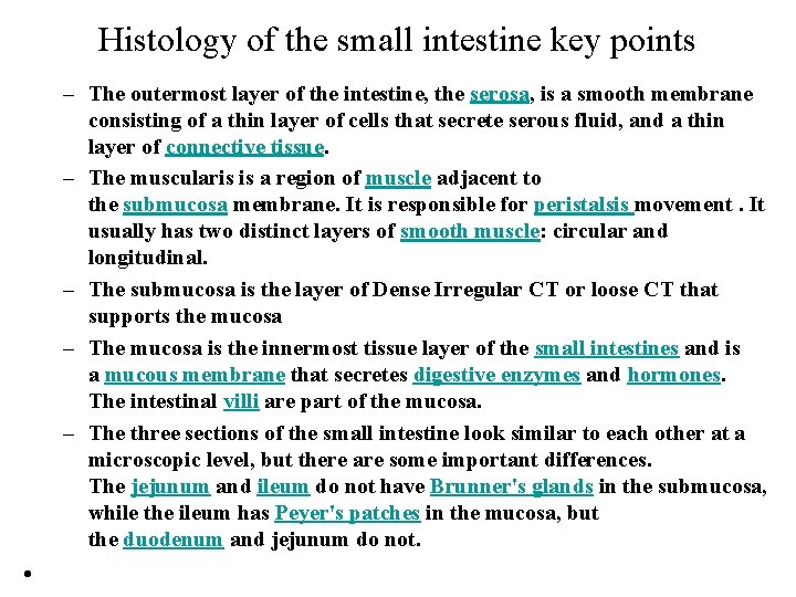 Histology of the small intestine key points – The outermost layer of the intestine,