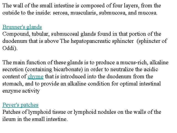 The wall of the small intestine is composed of four layers, from the outside