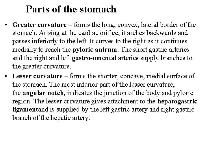 Parts of the stomach • Greater curvature – forms the long, convex, lateral border