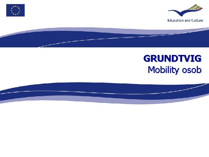 GRUNDTVIG Mobility osob 