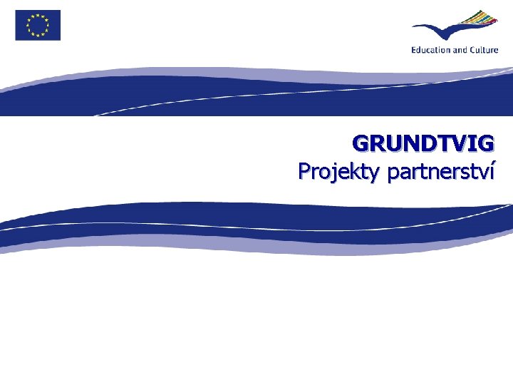 GRUNDTVIG Projekty partnerství 