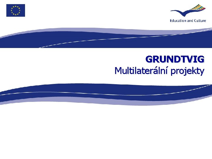 GRUNDTVIG Multilaterální projekty 