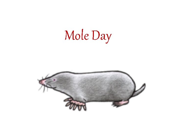 Mole Day 