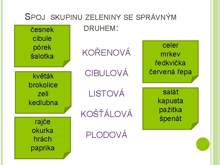 SPOJ SKUPINU ZELENINY SE SPRÁVNÝM česnek cibule pórek šalotka květák brokolice zelí kedlubna rajče