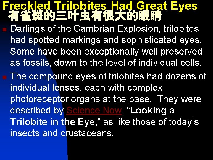 Freckled Trilobites Had Great Eyes 有雀斑的三叶虫有很大的眼睛 n n Darlings of the Cambrian Explosion, trilobites