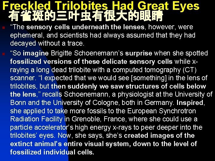 Freckled Trilobites Had Great Eyes 有雀斑的三叶虫有很大的眼睛 n n “The sensory cells underneath the lenses,