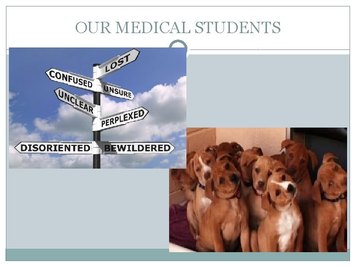 OUR MEDICAL STUDENTS 