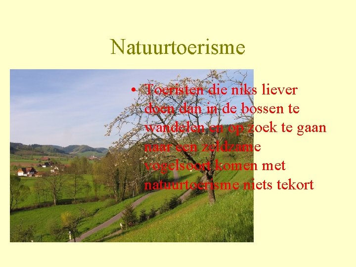 Natuurtoerisme • Toeristen die niks liever doen dan in de bossen te wandelen en