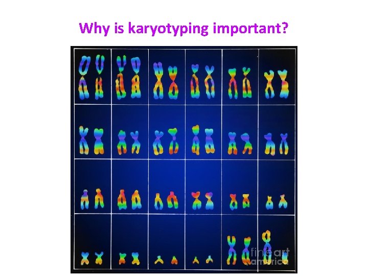 Why is karyotyping important? 