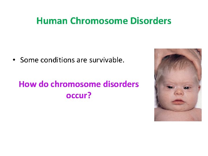 Human Chromosome Disorders • Some conditions are survivable. How do chromosome disorders occur? 