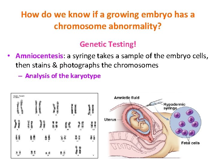 How do we know if a growing embryo has a chromosome abnormality? Genetic Testing!