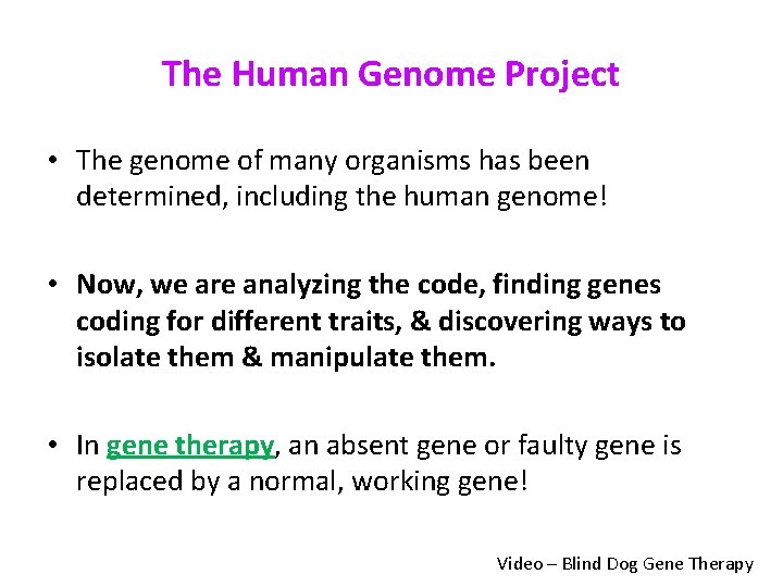 The Human Genome Project • The genome of many organisms has been determined, including