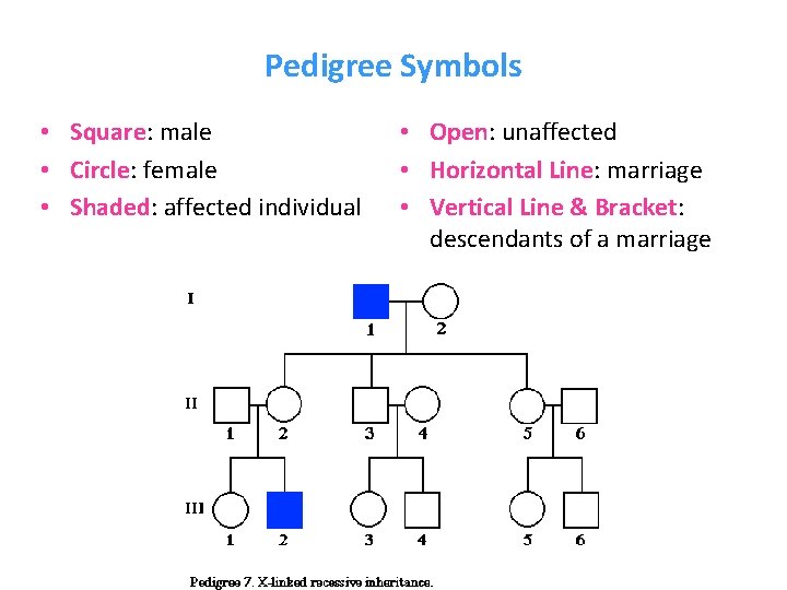 Pedigree Symbols • Square: male • Circle: female • Shaded: affected individual • Open: