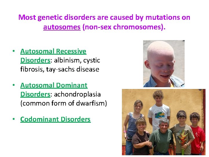 Most genetic disorders are caused by mutations on autosomes (non-sex chromosomes). • Autosomal Recessive