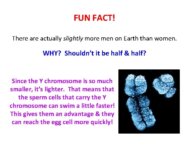 FUN FACT! There actually slightly more men on Earth than women. WHY? Shouldn’t it