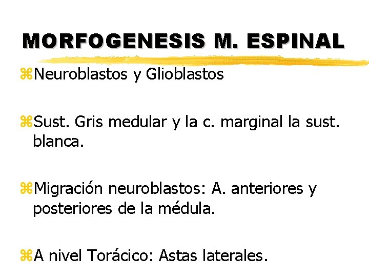 MORFOGENESIS M. ESPINAL z. Neuroblastos y Glioblastos z. Sust. Gris medular y la c. MORFOGENESIS M. ESPINAL z. Neuroblastos y Glioblastos z. Sust. Gris medular y la c.